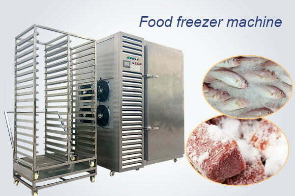 Instant fresh meat freezer