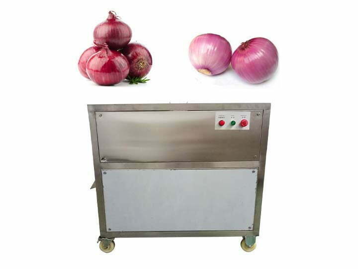 Onion root stem cutting machine