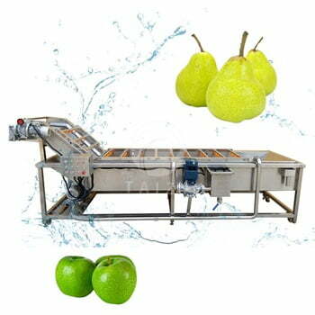 Industrial fruit washing machine
