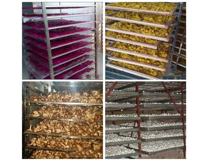 Commercial food dehydrator machine application