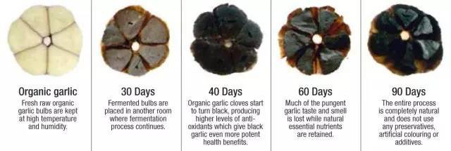 Black garlic fermentation process