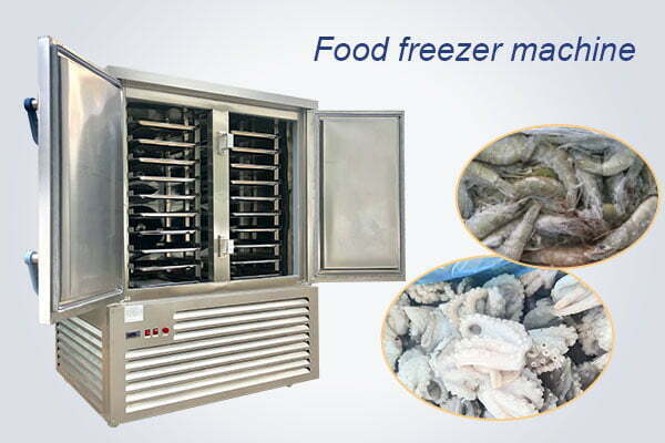 Industrial food freezer