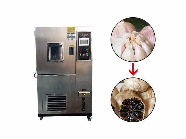 Black garlic fermenting machine