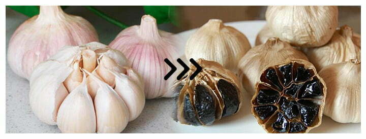 Black garlic vs regular garlic