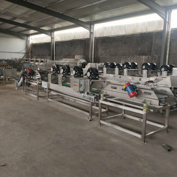 Bean sprouts peeling and cooling machine