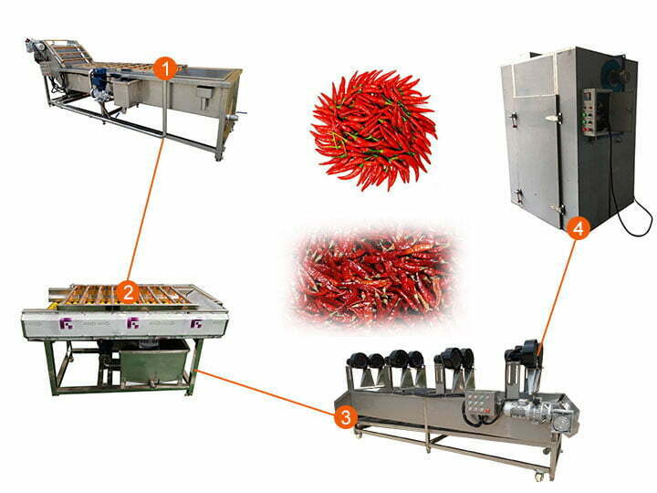 Automatic chili pepper washing and drying line