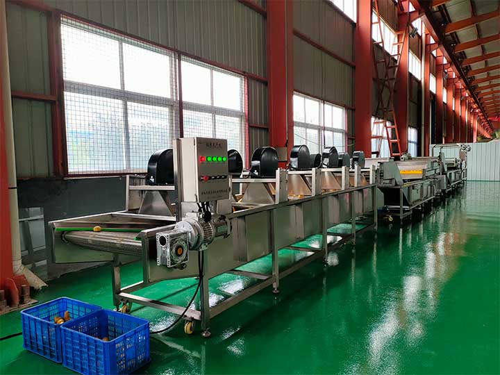 Blueberry wash processing line
