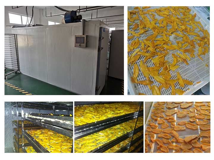 Industrial mango drying machine