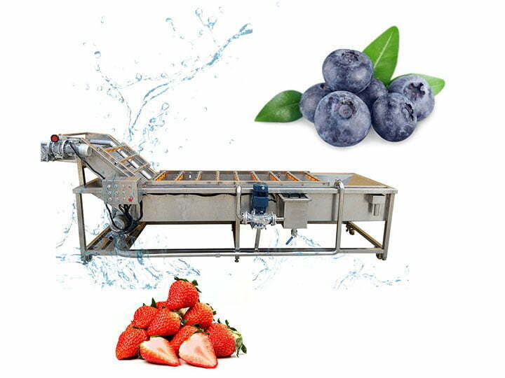 Industrial strawberry&blueberry washing machine