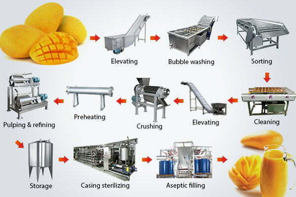 Mango fruit juice production line