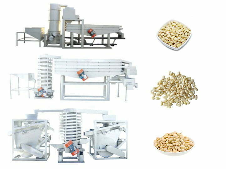 Lebanese pine nut shelling production line