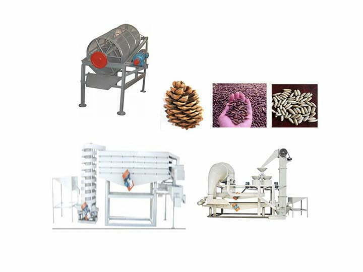 Pakistan pine nut processing flow chart
