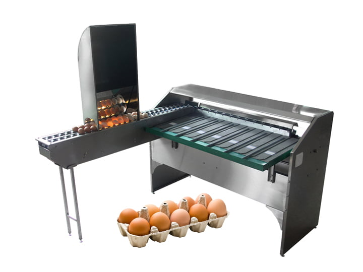 Tz-4000 small egg sorting machine