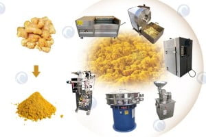 Ginger powder processing machine line