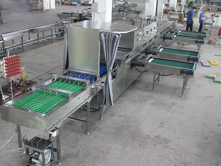 Larger scale egg sorting plant