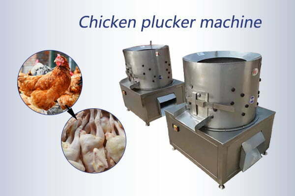 Commercial chicken plucker machine