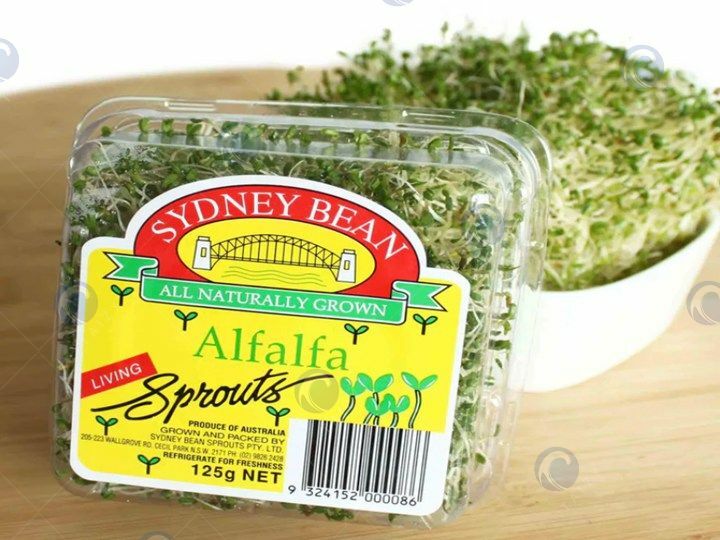 Alfalfa sprouts packing