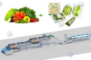 Clean vegetable processing plant