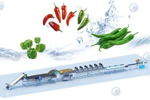 Complete green pepper washing plant