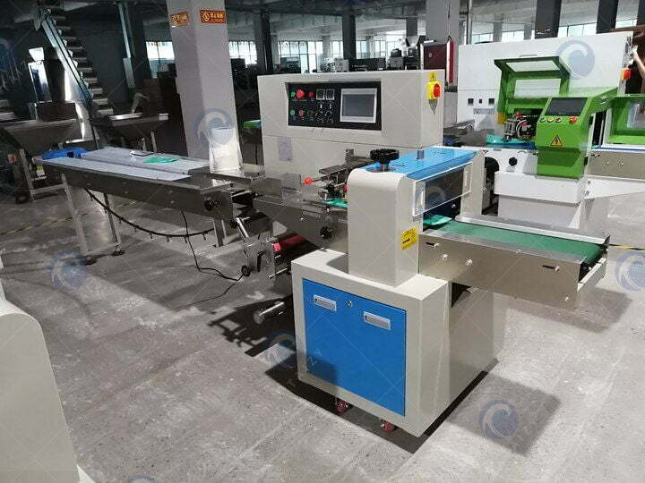 Pillow type vegetable packing machine