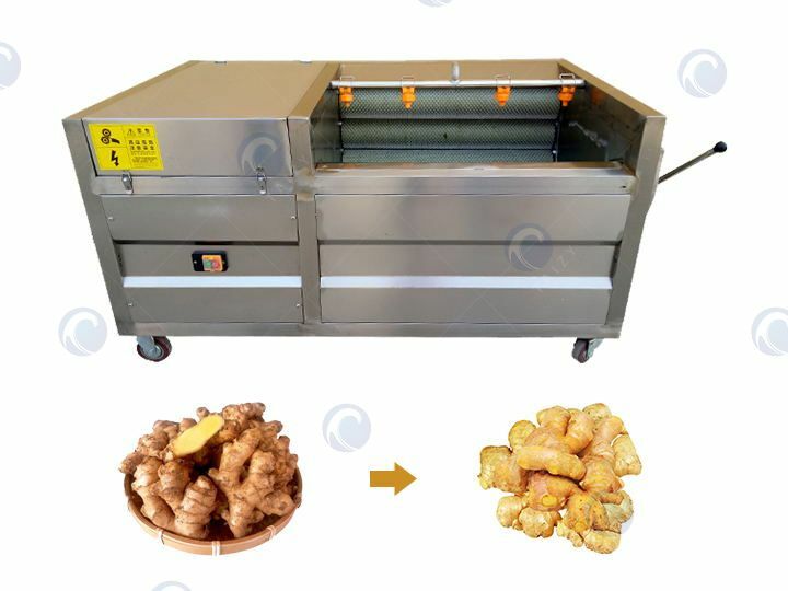 Ginger cleaning and peeling machine