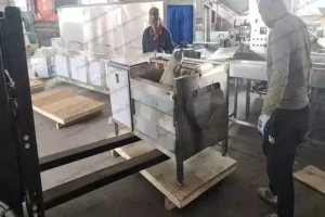 Máquina peladora de camote para las Filipinas